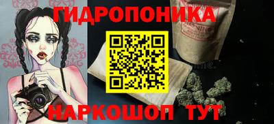 хмурый Гатчина
