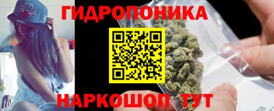 хмурый Гатчина