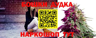 a pvp Гай