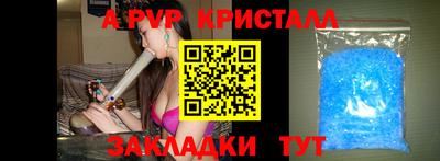 a pvp Гай