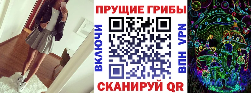 Галлюциногенные грибы Psilocybine cubensis Казань