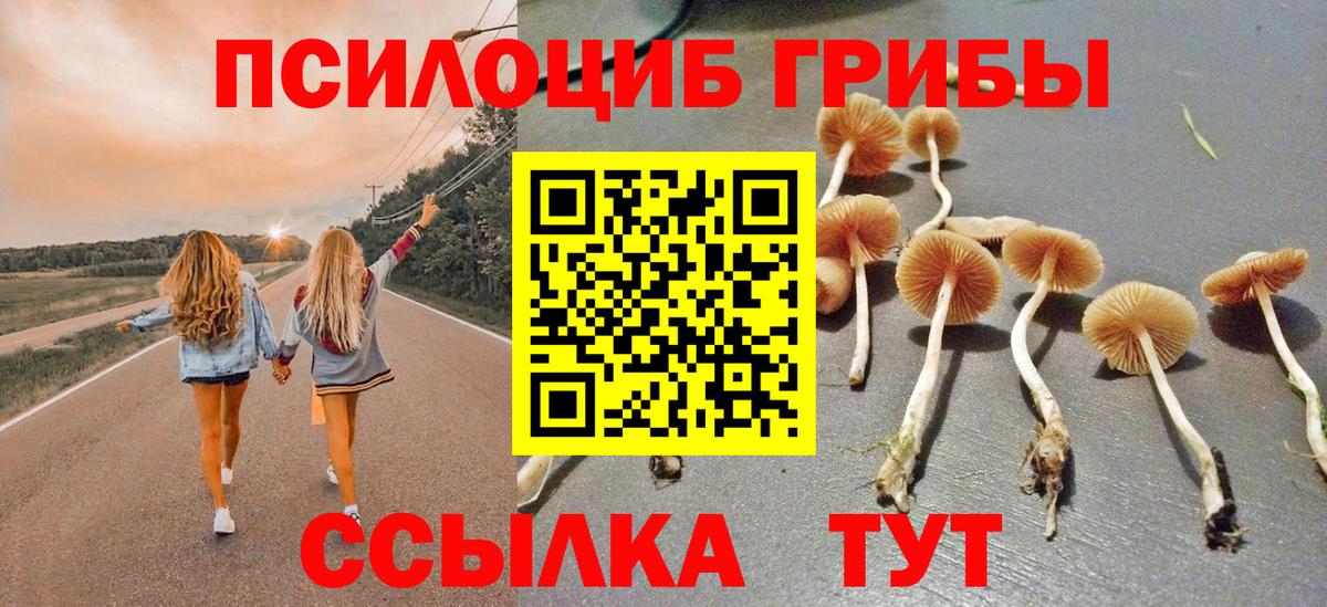 Казань  Галлюциногенные грибы Cubensis  Псилоцибиновые грибы мицелий  Вход с VPN 
